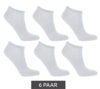 6 pares de calcetines deportivos TASTIQ, calcetines sencillos de algodón en caja de regalo, calcetines deportivos negros, grises o blancos
