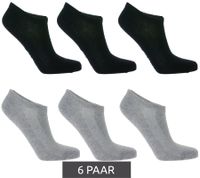 6 pairs of TASTIQ sneaker socks, plain cotton socks in a gift box, sports socks in grey, black, white, blue, green or pink
