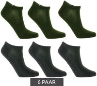 6 pairs of TASTIQ sneaker socks, plain cotton socks in a gift box, sports socks in grey, black, white, blue, green or pink