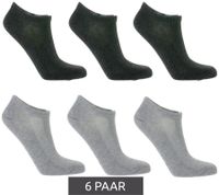 6 pairs of TASTIQ sneaker socks, plain cotton socks in a gift box, sports socks in grey, black, white, blue, green or pink