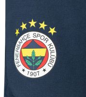 Pantalon d'entraînement PUMA Fenerbahce Istanbul pour homme, short de sport pour supporter de football, bermuda avec DryCell 778161 12 Bleu