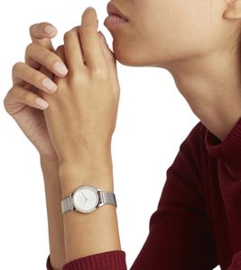 Pierre Cardin ladies two-hand wristwatch modern dial analogue quartz watch with stainless steel bracelet 3ATM 27mm CPI.2505 silver