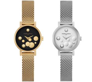 Reloj de señora Pierre Cardin esfera con detalles de círculos plateados reloj analógico de cuarzo con brazalete de acero inoxidable 3ATM 28mm CCM.050 plata o oro