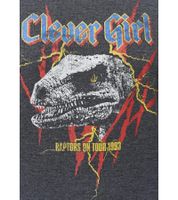 RE:COVERED X Jurassic Park Herren Rundhals-Pullover mit ‎‎T-Rex 1993 oder Raptors on Tour 1993 Vintage-Print Langarm-Shirt Sweat-Shirt MMUNV1960 Dunkel-Grau