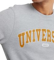 Suéter 11 PROJECT Davin para hombre con estampado UNIVERSITY en la parte delantera, sudadera de algodón, gris, 20715943 200274