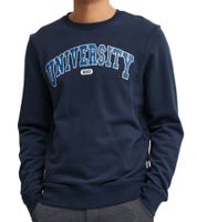 11 PROJECT Davin Men's Sweater with UNIVERSITY Front Print, Cotton Sweatshirt 20715943 in Dark Blue, Gray, or Blue