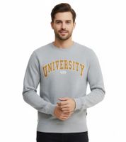 11 PROJECT Davin Men's Sweater with UNIVERSITY Front Print, Cotton Sweatshirt 20715943 in Dark Blue, Gray, or Blue