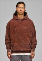 Fast and Bright Fastnbright Hoodie brown