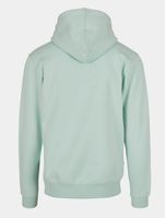 Sweat à capuche uni CAYLER & SONS vert œuf d'oiseau
