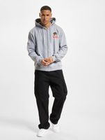 European League Of Football Helvetic Guards 1 Zip Hoodies grau meliert