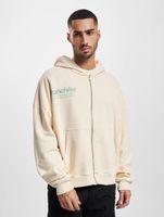 Felpa con cappuccio e zip Franchise TFG beige chiaro lavato