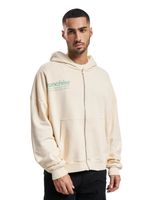 Felpa con cappuccio e zip Franchise TFG beige chiaro lavato