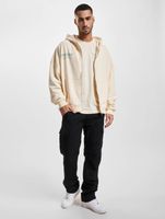 Felpa con cappuccio e zip Franchise TFG beige chiaro lavato