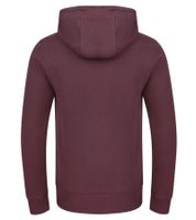 Men's Hoodie, Hooded Sweater, Basic Sweater, Modern Cotton Sweater, Plus Sizes, Brown, Red, Gray, Beige, or Burgundy