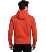 Men's Hoodie, Hooded Sweater, Basic Sweater, Modern Cotton Sweater, Plus Sizes, Brown, Red, Gray, Beige, or Burgundy