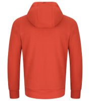 Men's Hoodie, Hooded Sweater, Basic Sweater, Modern Cotton Sweater, Plus Sizes, Brown, Red, Gray, Beige, or Burgundy