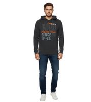 Sweat à capuche Erik pour homme FQ1924, en coton brodé, gris, référence 21900544-ME 200278
