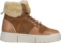 Modische SCAPA Stiefelette Schnürschuhe für Damen 10/2703F 530 Braun