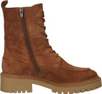 Comodi stivaletti Högl, scarpe stringate da donna, 4-132422 1100 Marrone