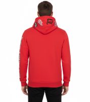 Hollister X NHL Detroit Red Wings Herren Hoodie mit Team-Logo-Print Baumwoll-Pullover 322-221-1606-500 Rot