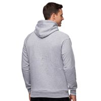 Felpa sportiva da uomo con logo del marchio su un dettaglio frontale casual. Maglione/felpa 19150 Grigio Melange