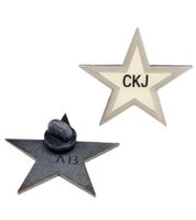 2-Pack Calvin Klein Star-Design Pin-Up Brooches, Stainless Steel, Enamel, KJJNDH200200, Silver/Gold/White