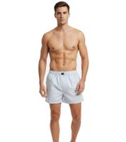 Classic 3-pack TRUE style men's boxer shorts, sustainable cotton shorts Woven Boxers 8975684 Blue/White striped/checked