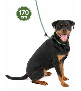 Laisse 3-en-1 Comfort Company of Animals pour chiens qui tirent fort - Laisse courte, laisse de type retriever, 170 cm, verte