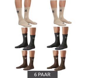 6 paia di calzini da uomo SCOTCH & SODA in spugna, modello a mezza gamba, casual, eleganti, taglia 41-46 (UE) SS43513-280, marrone, beige, grigio scuro