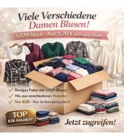 Gran variedad de blusas para mujer - 3029 piezas, solo 1,70 € netos cada una Productos alemanes de venta por correo.