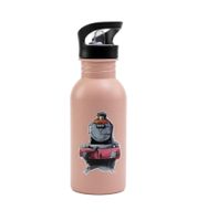 Borraccia Harry Potter Hogwarts Express, 500 ml, in acciaio inox, design rosa magico
