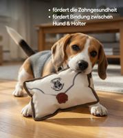 Giocattolo da masticare per cani di Harry Potter, a forma di quaderno con lettere, 15x5x20 cm, bianco