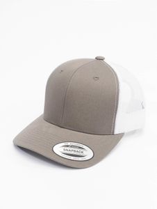 Modern Flexfit unisex cap, mesh with cotton, grey
