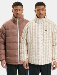 stylische Lacoste Herren Jacke Braun/Creme