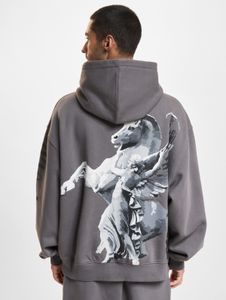 moderner DEF Herren Hoodie mit Baumwolle Grau