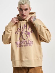 Sweat à capuche Tommy Jeans pour homme, style moderne, avec cordon de serrage, en coton beige