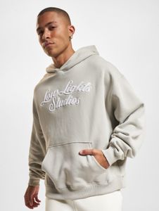 Sweat à capuche gris pour homme Comfortable Low Lights Studios