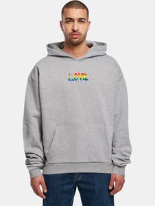 Felpa con cappuccio da uomo Modern Merchcode, 460 g/m² di cotone, grigia.