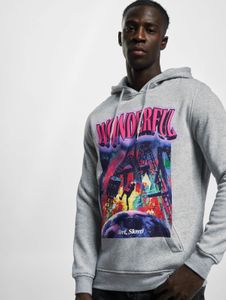 Sweat à capuche Soft Mister Tee pour homme, avec cordon de serrage et poignets côtelés, 300 g/m² coton, gris