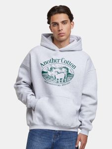 Sweat à capuche pour homme Modern Another Cotton Lab en coton gris
