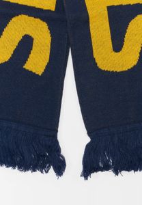 versatile starter unisex scarf blue