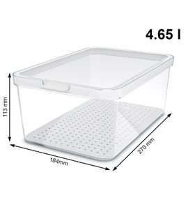 Rotho CAUMA Refrigerator Organizer 4.65 Liters – Stackable Freshness Box with Lid (9554603) – Transparent/White