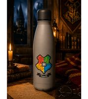 Harry Potter Insulated Bottle – "Back to Hogwarts" or "Hogwarts Express" – 500 ml Stainless Steel Thermal Flask with Magical Design (Pink or Grey)