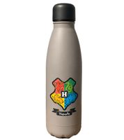 Harry Potter Insulated Bottle – "Back to Hogwarts" or "Hogwarts Express" – 500 ml Stainless Steel Thermal Flask with Magical Design (Pink or Grey)