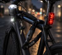 Bicycle Chain Lock with 2 Keys (Approx. 120 cm) – Robust Lock for Bicycles, E-Bikes & E-Scooters (Black, A0008346)