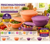 Frischhaltedosen Starter-Set mit 4 Dosen & Deckeln – 2x 4L + 2x 8L Aufbewahrungsschüsseln Peach/Lila