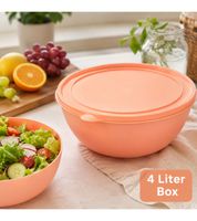 Frischhaltedosen Starter-Set mit 4 Dosen & Deckeln – 2x 4L + 2x 8L Aufbewahrungsschüsseln Peach/Lila