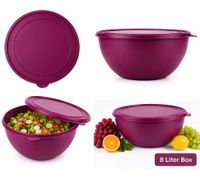 Frischhaltedosen Starter-Set mit 4 Dosen & Deckeln – 2x 4L + 2x 8L Aufbewahrungsschüsseln Peach/Lila