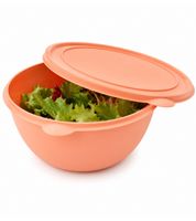 Frischhaltedosen Starter-Set mit 4 Dosen & Deckeln – 2x 4L + 2x 8L Aufbewahrungsschüsseln Peach/Lila