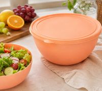 Frischhaltedosen Starter-Set mit 4 Dosen & Deckeln – 2x 4L + 2x 8L Aufbewahrungsschüsseln Peach/Lila